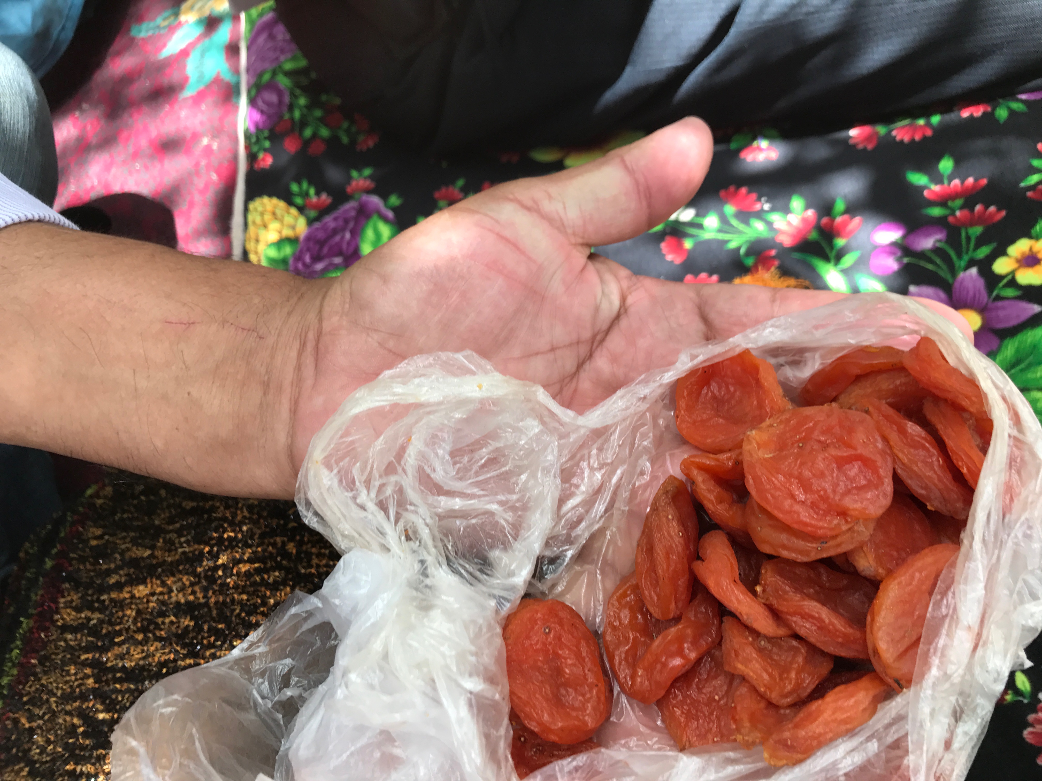dried apricots in a hand in Tajikistan