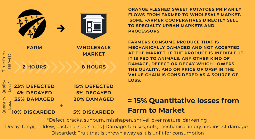 Sweet potato postharvest losses infographic from farm to market in Rwanda