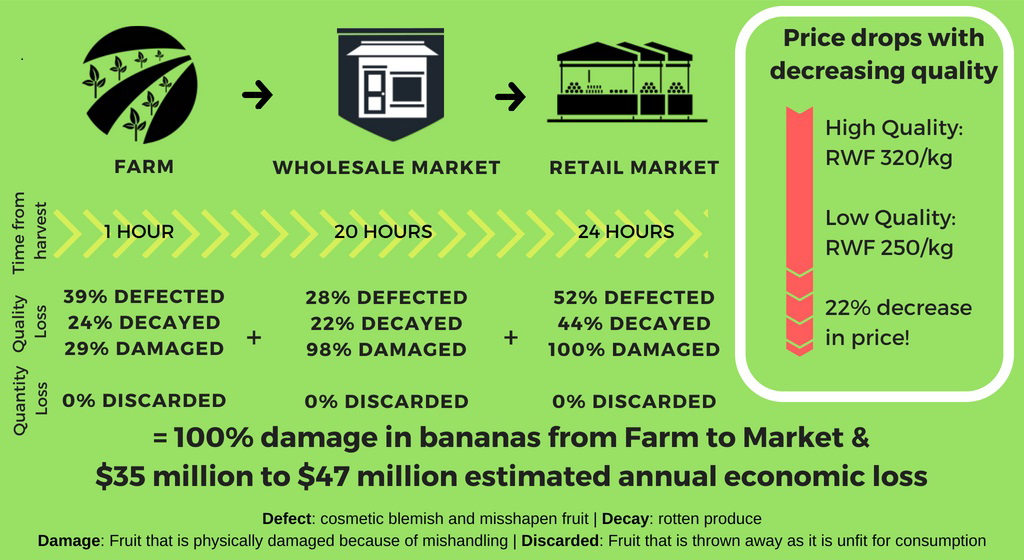 Postharvest loss for green banana (cooking banana) from farm to market in Rwanda
