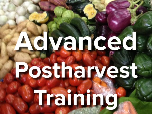 Advanced postharvest training text over background image of vegetables and fruits at market