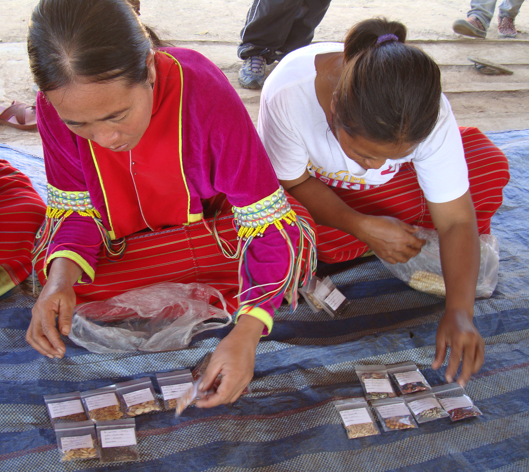Women seated on a mat sort through labeled packets of seeds