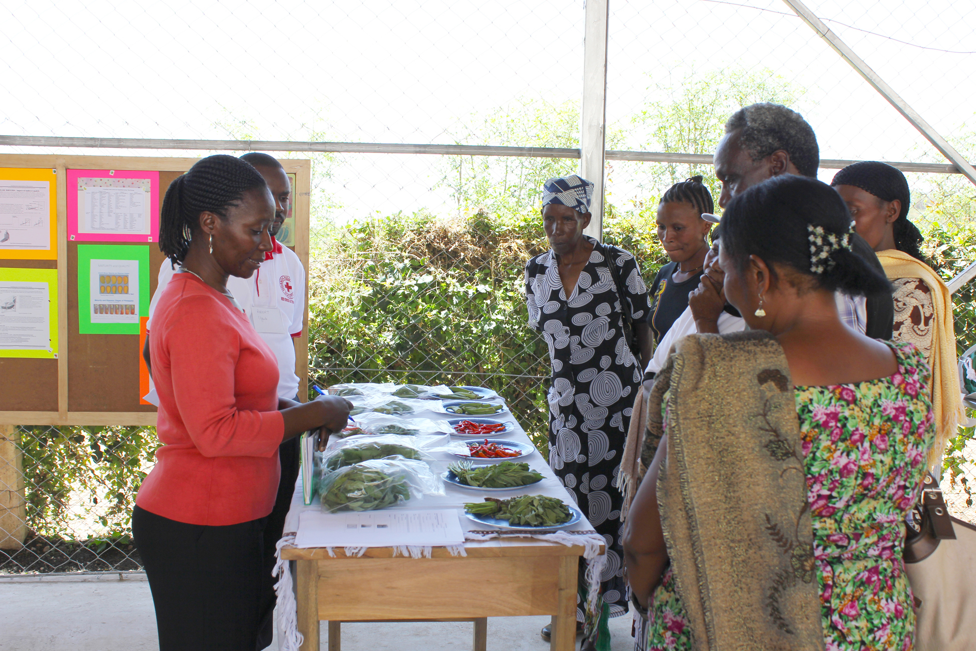 Trainers talk to farmers about maintaining freshness and proper postharvest handling of various vegetable crops after harvest.