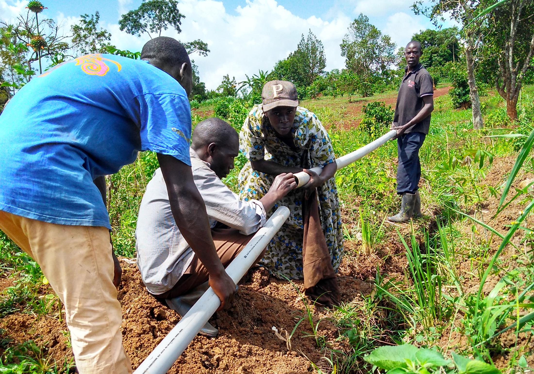 Young men work together to connect irrigation pipe in farm field.