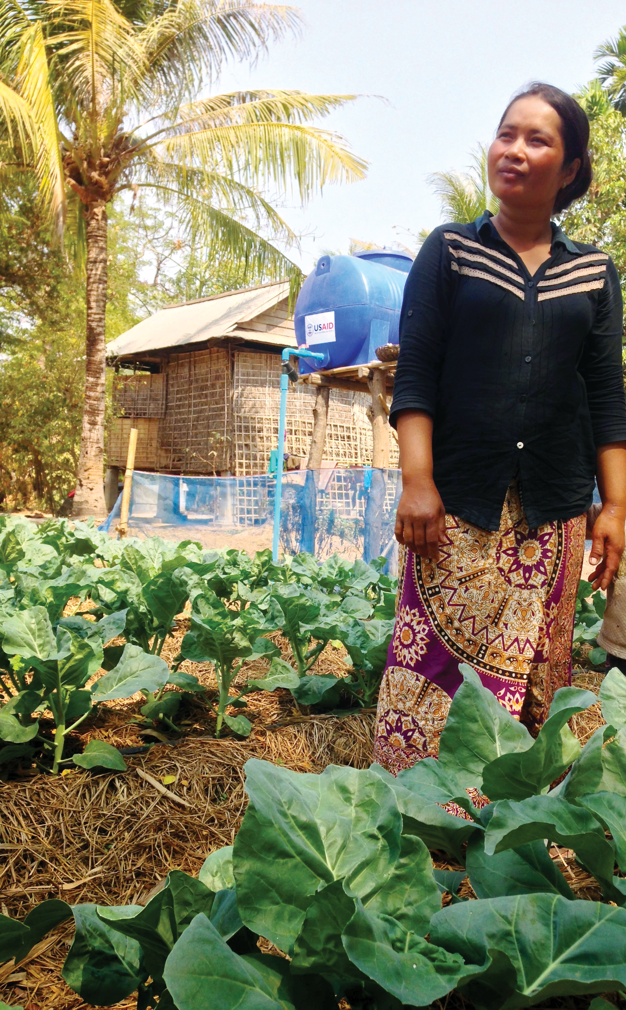 Woman farmer in Cambodia in vegetable farm blog with mulch and drip irrigation tank.