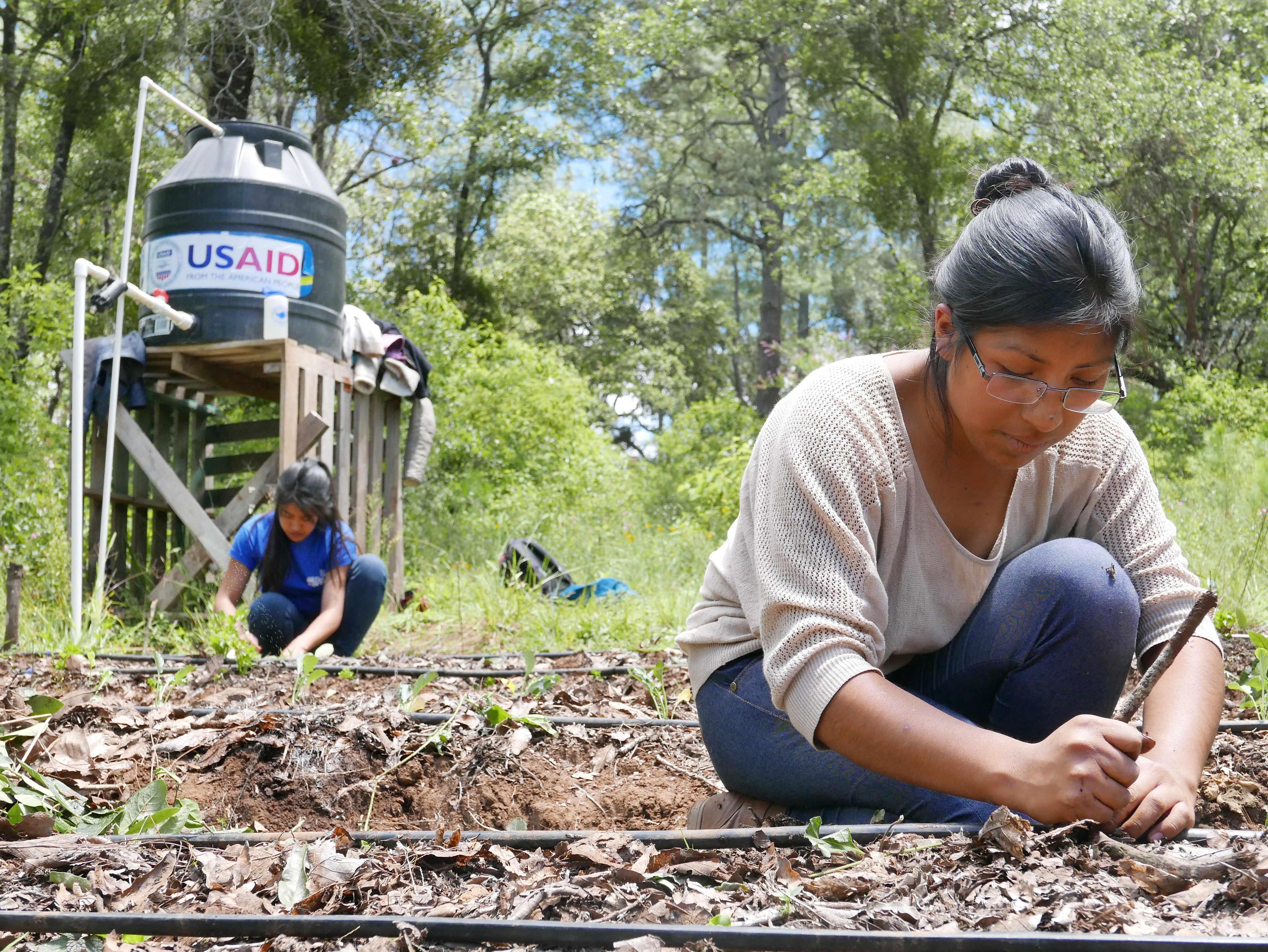 Young women working in garden plot with vegetable seedlings, drip irrigation hose, mulch, and USAID water tank in background