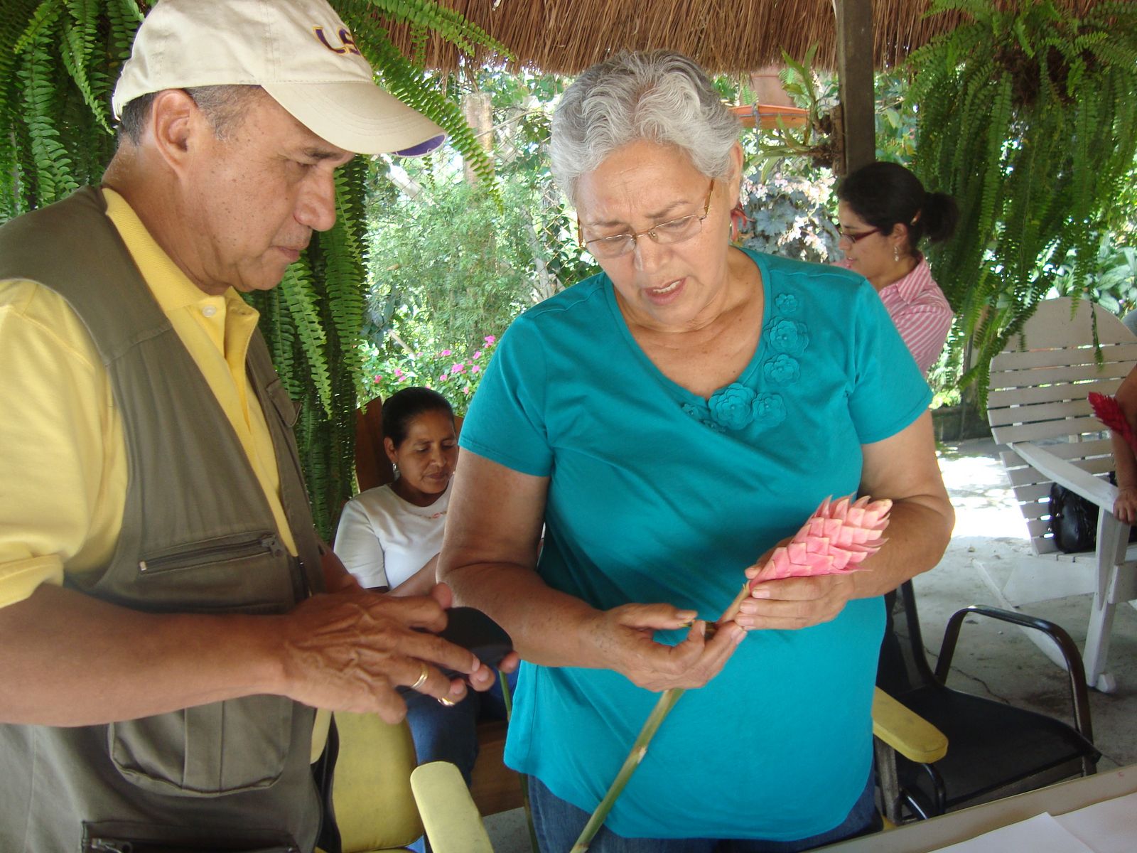 Farmer and government representative examine a large flower stem.