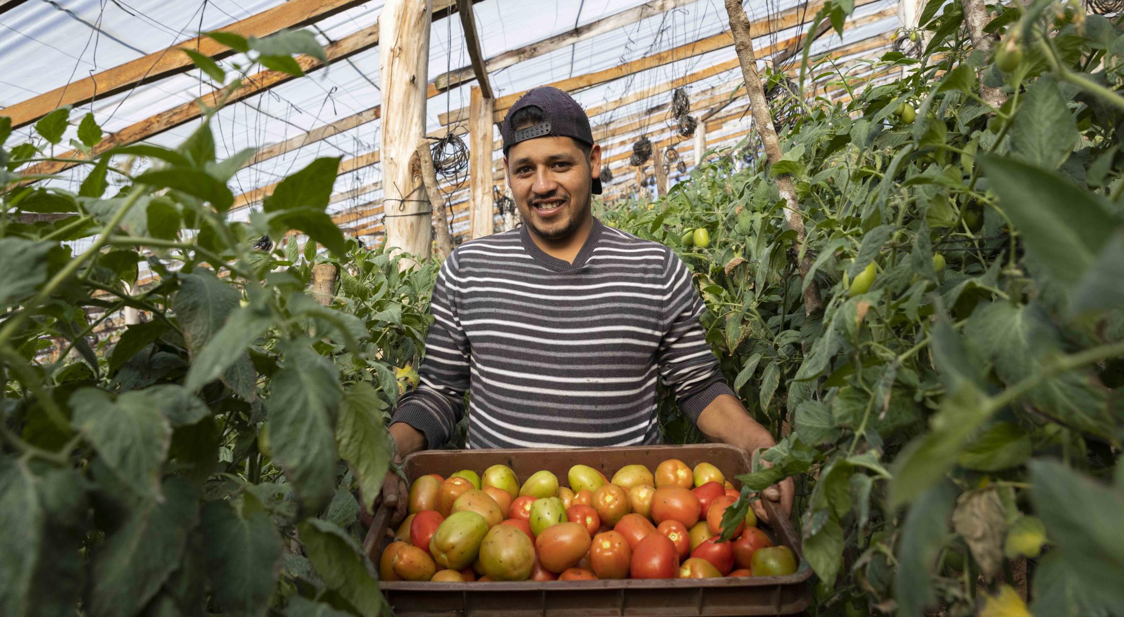 Promoting Small Farm Technologies for Climate Smart Agriculture and Market Access in Guatemala