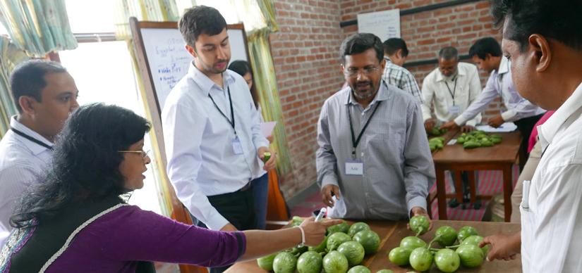 Five people stand around a table with gourds on it