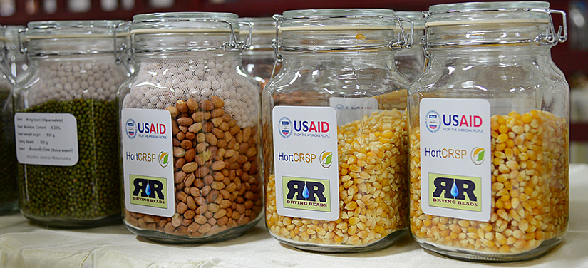 Jars of seed with zeolite drying beads, Horticulture Innovation Lab