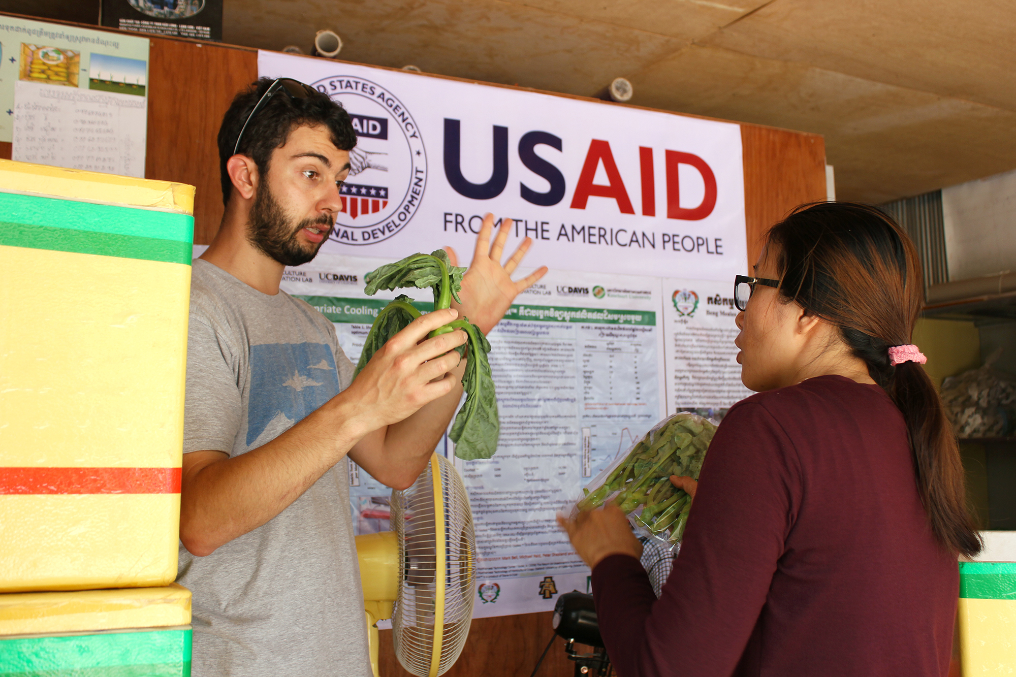 Man gestures with wilted leafy green vegetable to woman listening, with USAID logo in background of packing shed in Cambodia.