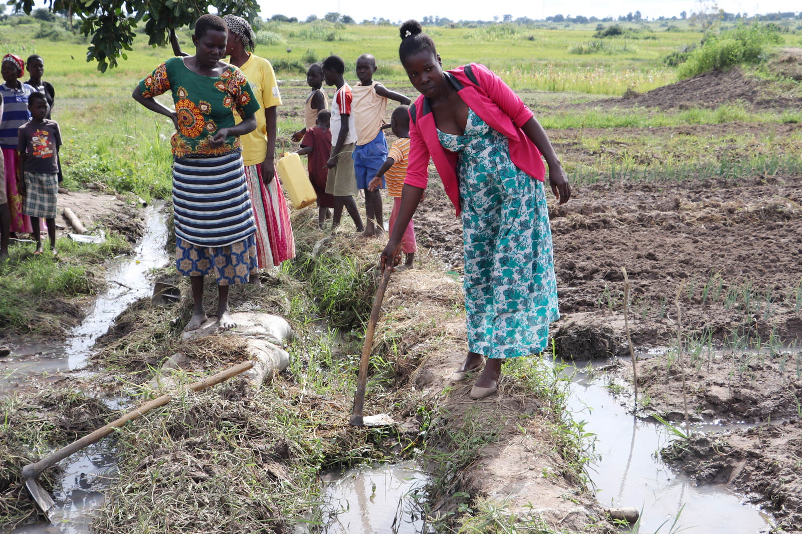 Women farmers standing on the edges of canals in farming field, one holding a hoe to divert water