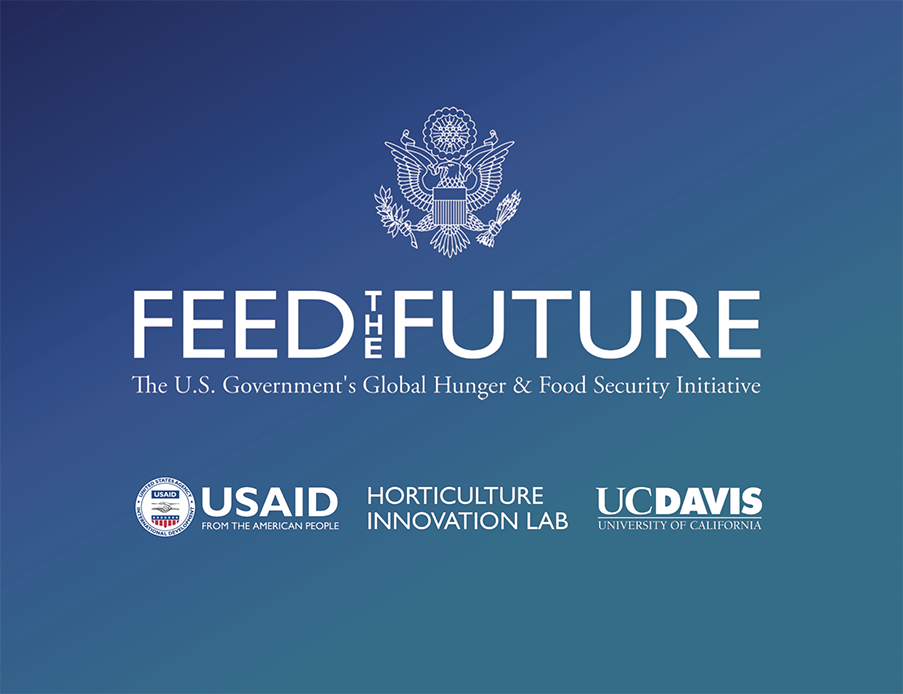 feed the future brand image