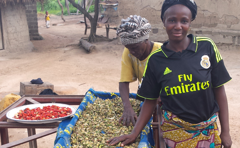 Woman farmers with tray of dried okra