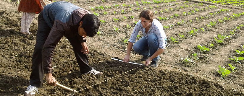 grad students working together on a field trial in Nepal