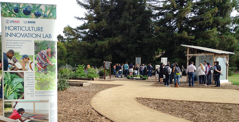 Horticulture Innovation Lab sign in front of garden path with groups of people looking at demonstrations