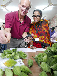 Man and women lean over a table with gourds on it