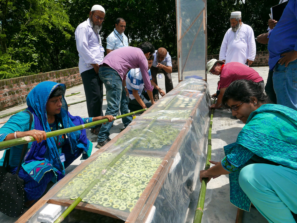 Group of men and women place bamboo poles on solar dryer