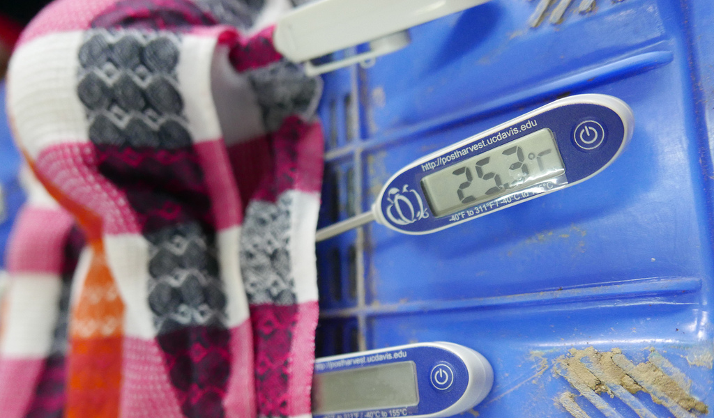 Blue thermometer in a produce bin, reads "25.3 C"