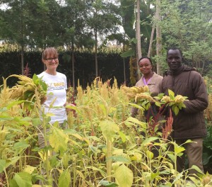 Three people holding amaranth grain in field of amaranth