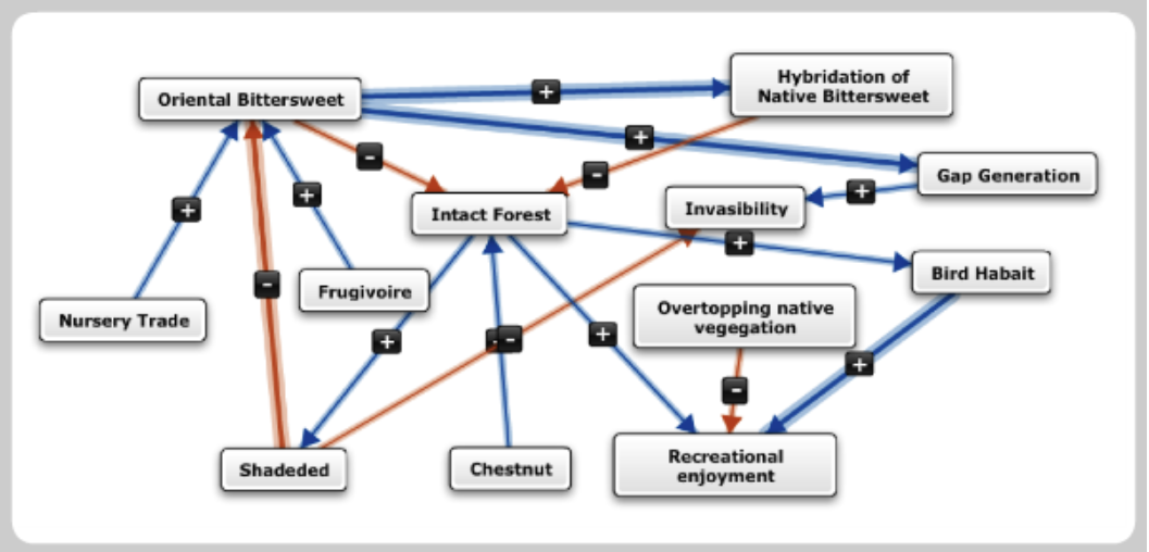 Topics such as oriental bittersweet, nursery trade, shaded, chestnut, and recreation enjoyment mapped with connecting lines