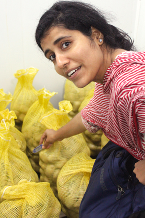 woman holds a thermometer among bags on potatoes in Bangladesh