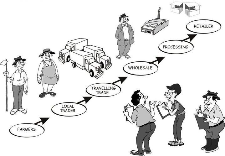 Image of a value chain with each market actor displayed in order from farmers to local traders, travelling trade, wholesale, processing, to retailer.