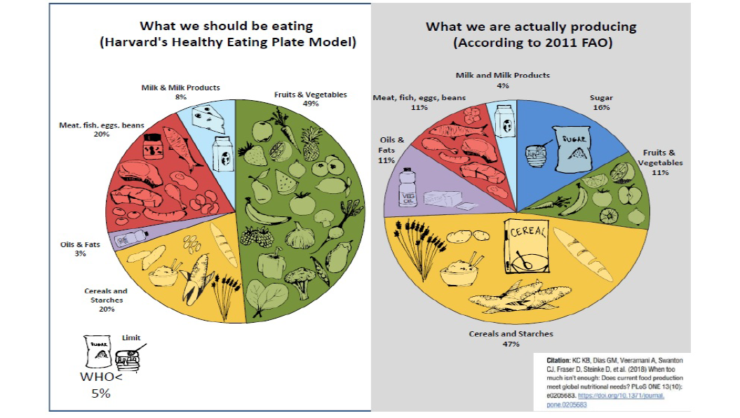 Two pie graphs compared showing food groups - one for dietary recommendations and other for agricultural production