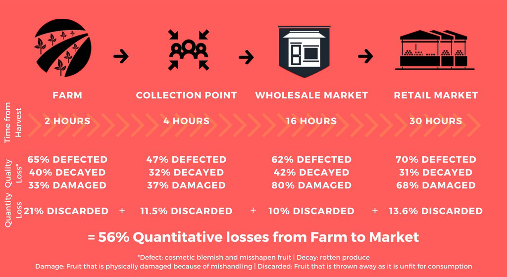 infographic showing tomato postharvest losses from farm to market in Rwanda