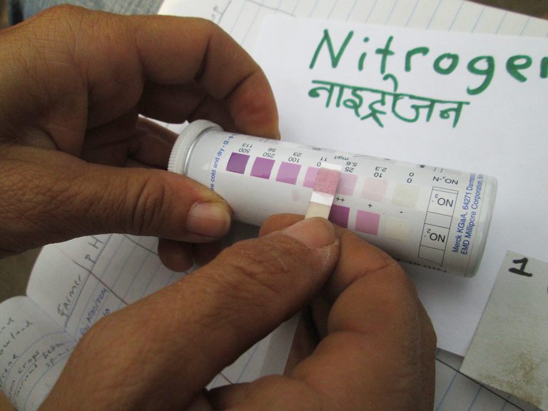 Close-up of hand showing Nitrogen color indicator strip, with Nepalese writing