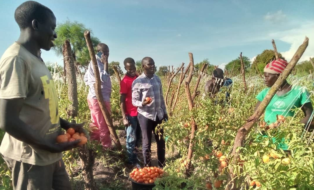 farmers in field