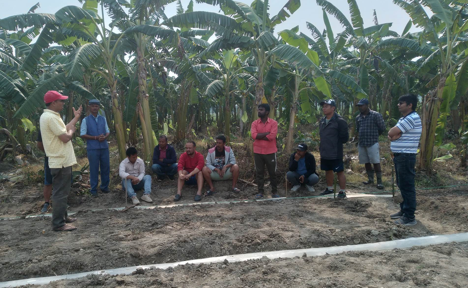 farmers in banana farm field