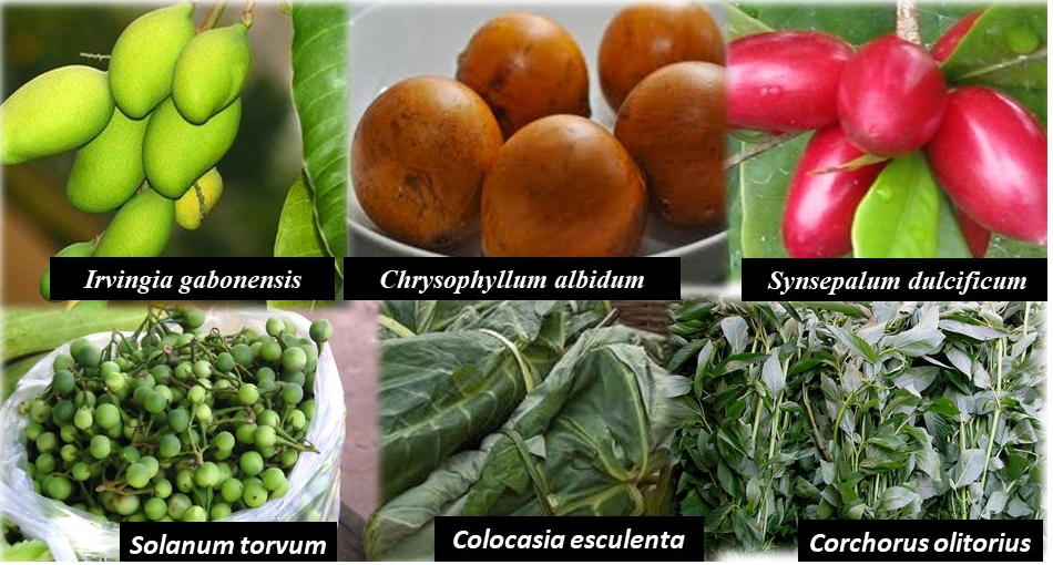 image of african indigenous fruits and vegetables