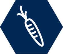 Fruit and vegetable production icon