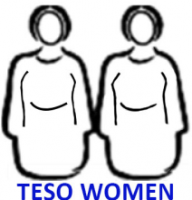 Teso Women logo