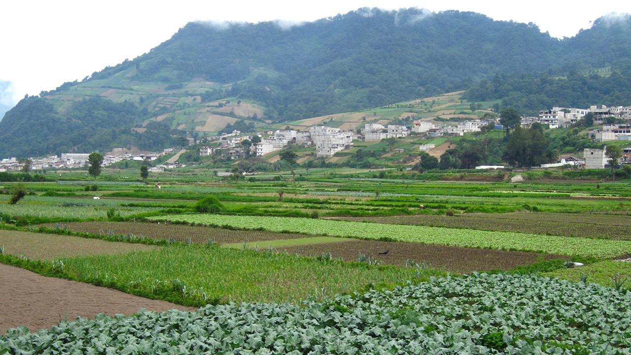 Guatemala rural landscape - Patchwork landscape of various green agricultural fields in flat valley, edged with houses as hillsides climb into fog