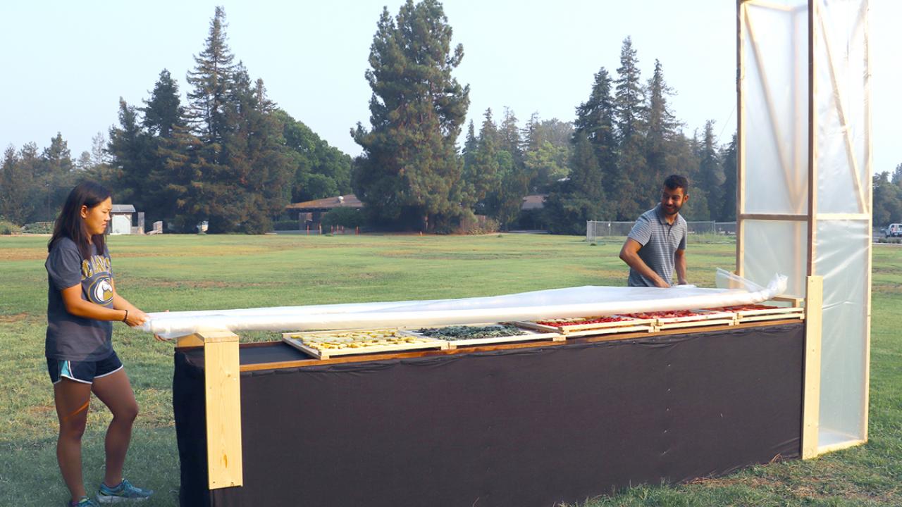 UC Davis student Lauren Howe, left, works with Angelos Deltsidis, international postharvest specialist for the Horticulture Innovation Lab, to roll a clear plastic cover over trays of sliced fruits and vegetables in the chimney solar dryer. Two people unroll plastic cover over fruits and vegetables in chimney solar dryer.