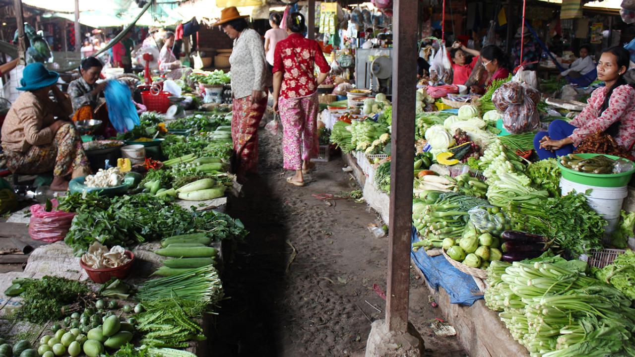 Women buying and selling vegetables in Cambodian market, with piles of squash, lettuces, bok choys, mushrooms, herbs, onions, cucumbers, peppers, eggplant and more on display.