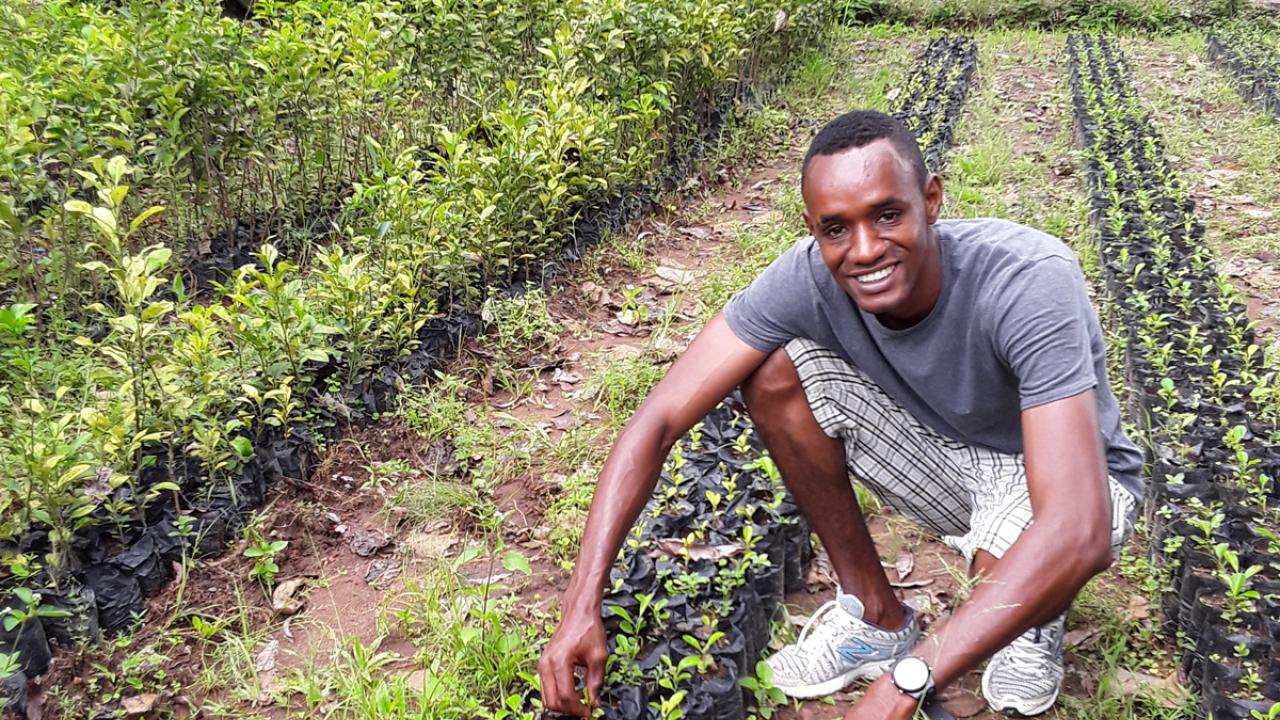 Internships: Join team helping farmers in Guinea | Feed the Future  Innovation Lab for Horticulture - 2009 to 2025 (currently closed)