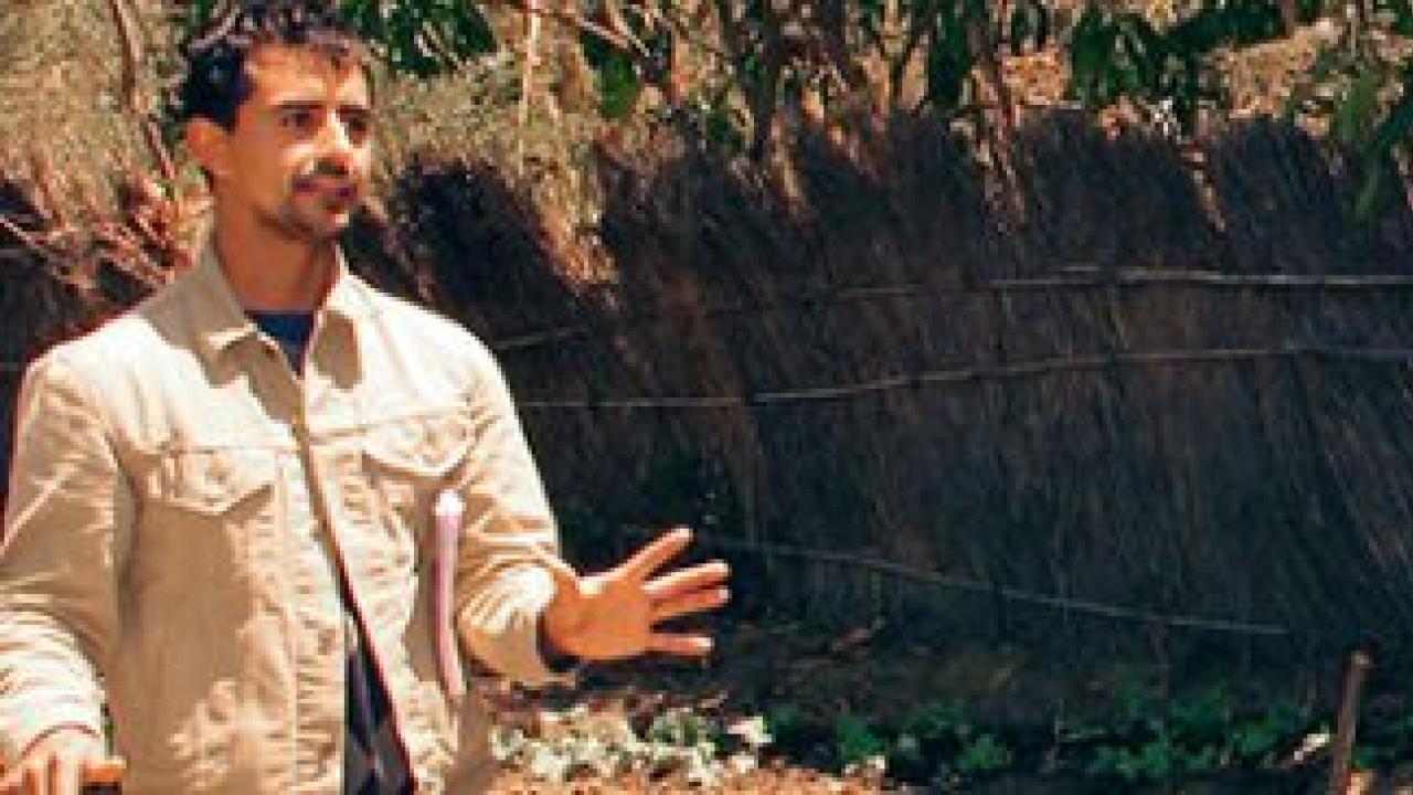 5 ways Trellis Fund grants generate impact Feed the Future Innovation Lab for Horticulture