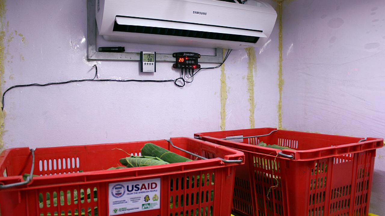 coolbot cold room