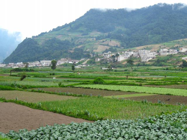 Guatemala agricultural landscape