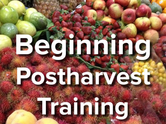 Beginning Postharvest Training text over background image of fresh tropical fruits at market