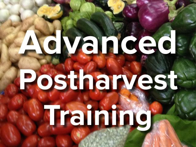 picture Post Harvest Activities Of Cabbage advanced postharvest training for