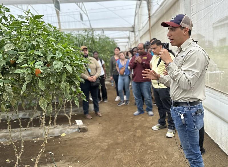 Rijk Zwaan vegetable breeding company tour. Photo: Heather Hayashi.