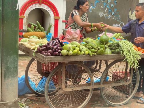 Fruit cart in Nepal
