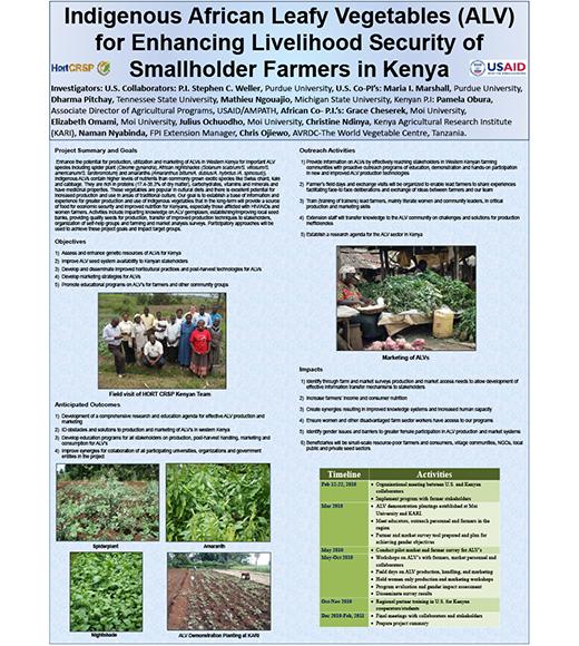 Indigenous African leafy vegetables for enhancing livelihood security of smallholder farmers in Kenya poster
