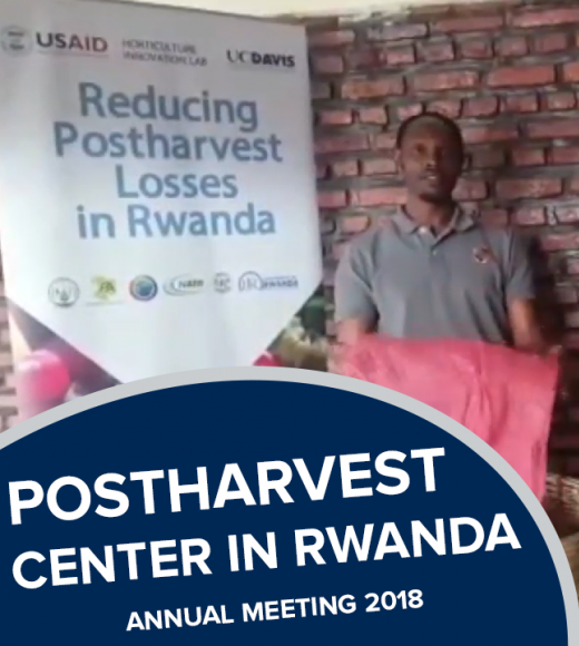 "Postharvest center in rwanda, 2018 annual meeting" text in front of photo of man holding large produce bag standing next to produce crates
