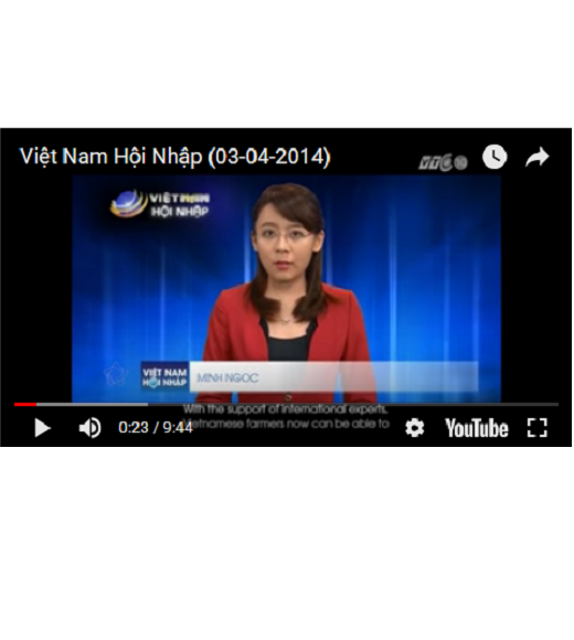 Photo: NetViet TV news from April 3, 2014 