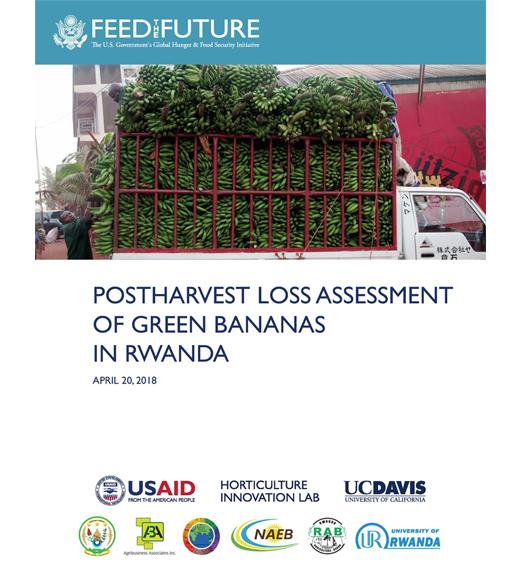 "Postharvest Loss Assessment of Green Bananas in Rwanda" title page, with photo of green bananas loaded for transport