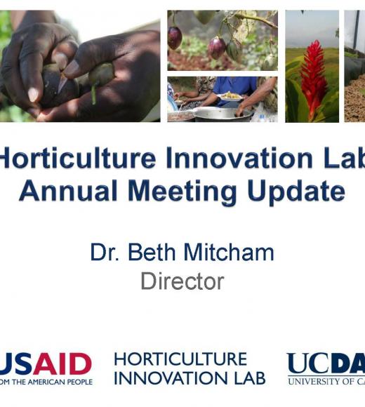 Horticulture Innovation Lab annual meeting update - title slide